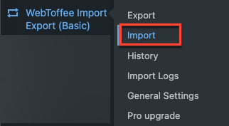 import option from the basic import export plugin