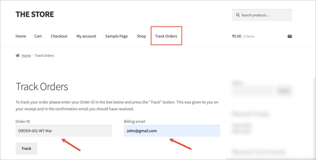 Inputting the Order ID and the Billing email to track order details