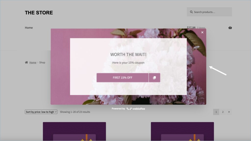 Cart recovery campaign showing the coupon code