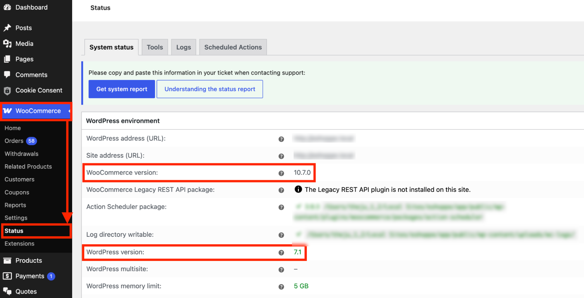 WooCommerce and WordPress version